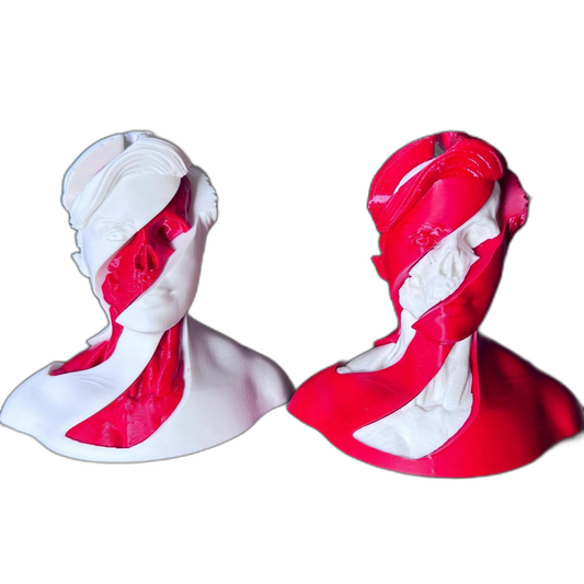 3D Split Face Sculpture Fidget