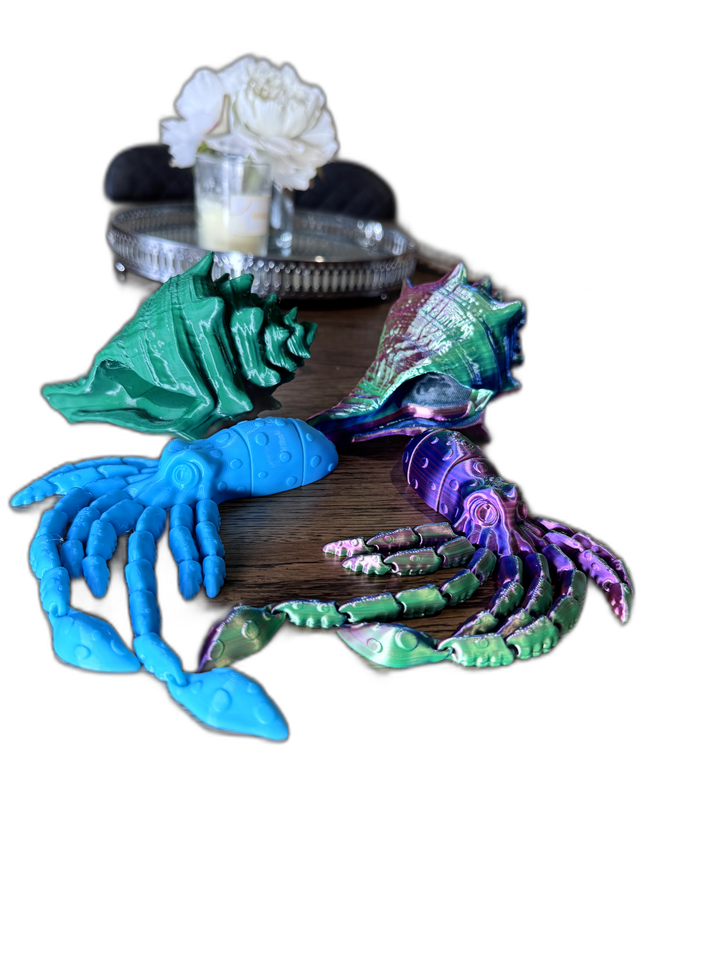 Wavy the Articulated 3D Squid with Shell