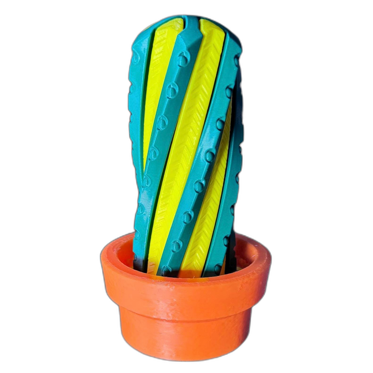 3D Articulated Cactus Fidget in Pot