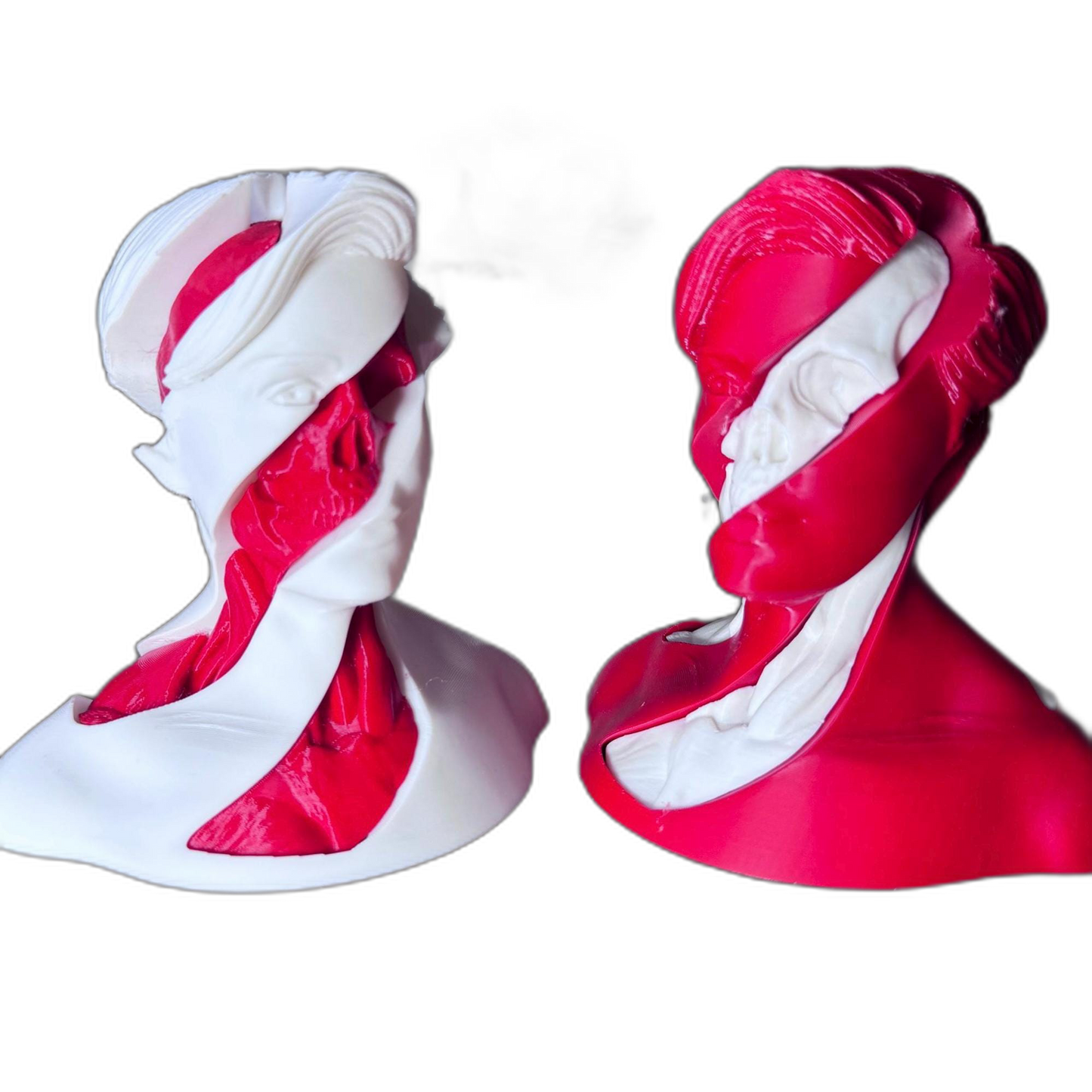 3D Split Face Sculpture Fidget