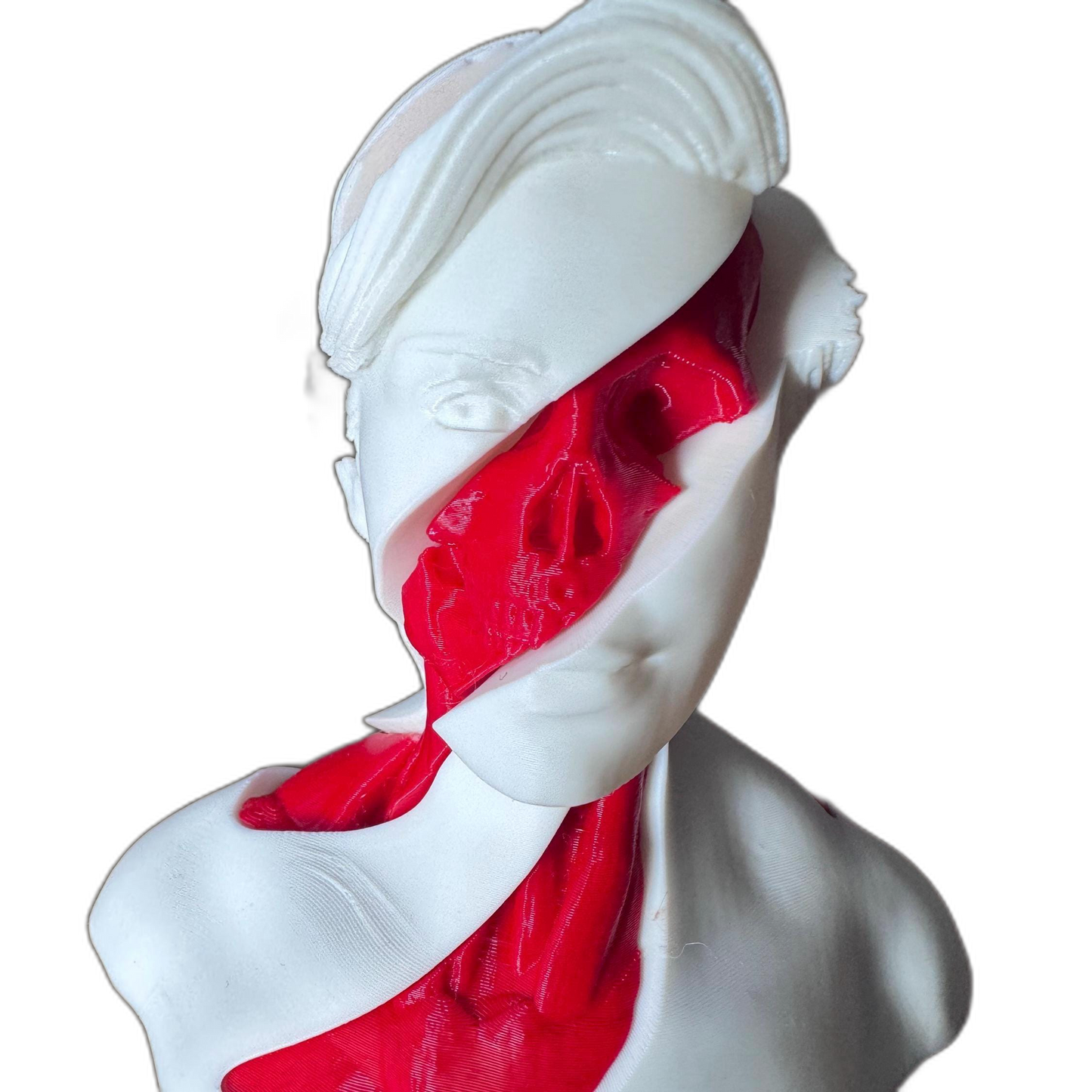 3D Split Face Sculpture Fidget