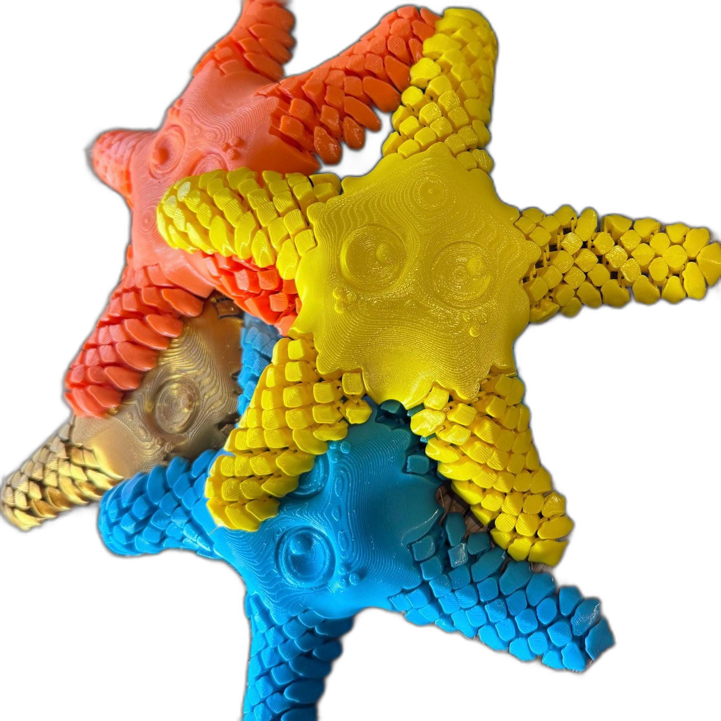 Articulated 3D Starfish Fidget Toy