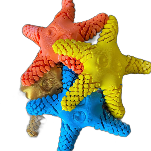 Articulated 3D Starfish Fidget Toy