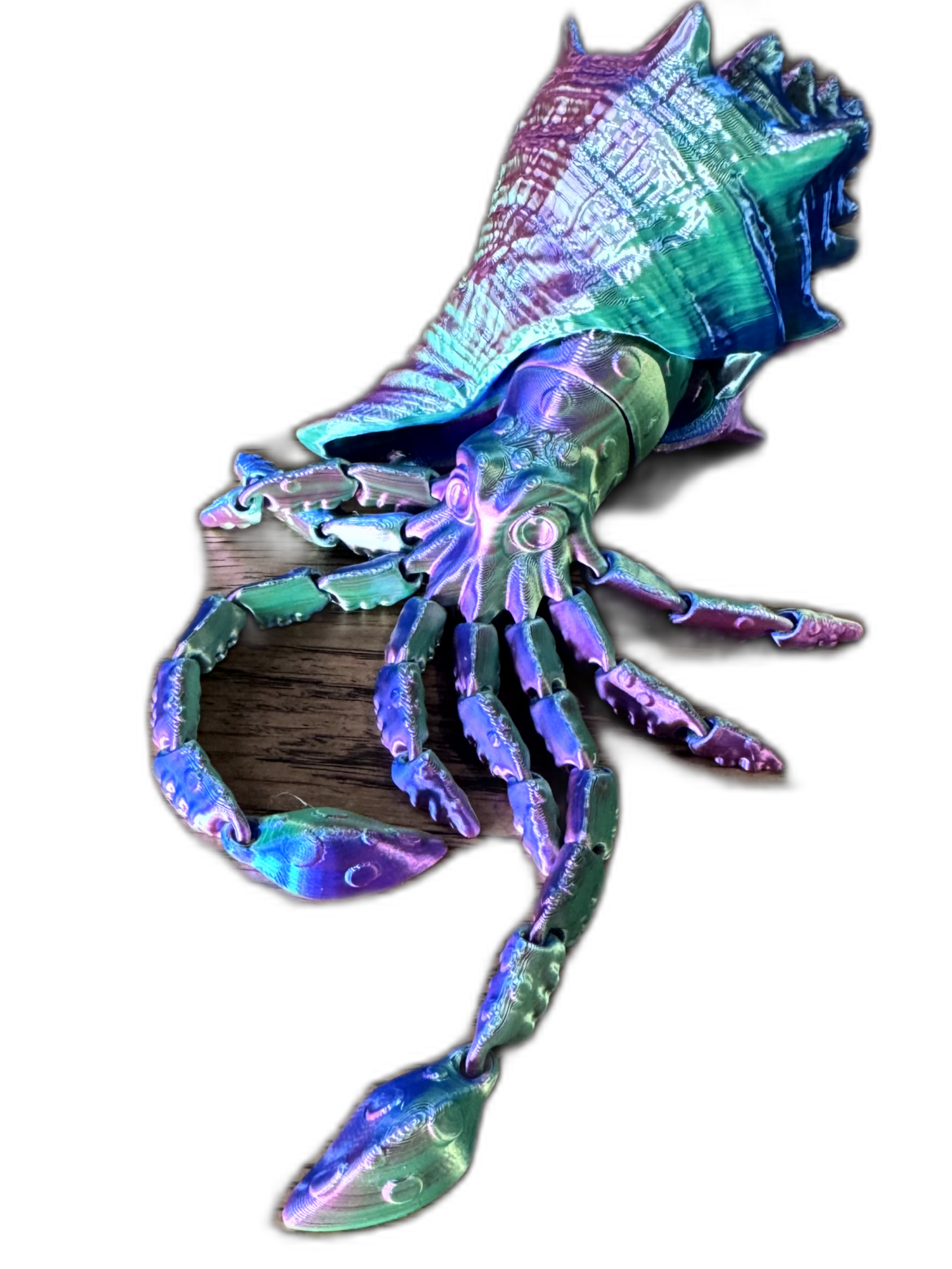Wavy the Articulated 3D Squid with Shell