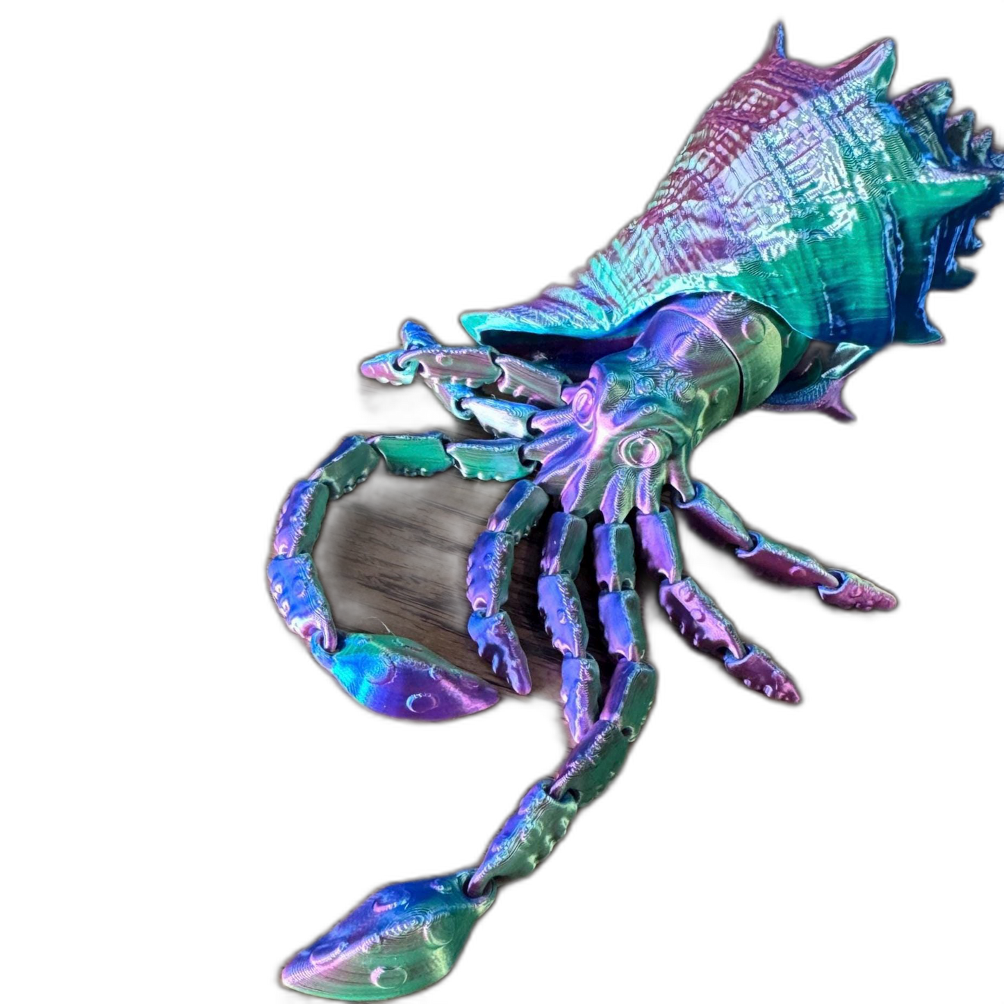 Wavy the Articulated 3D Squid with Shell