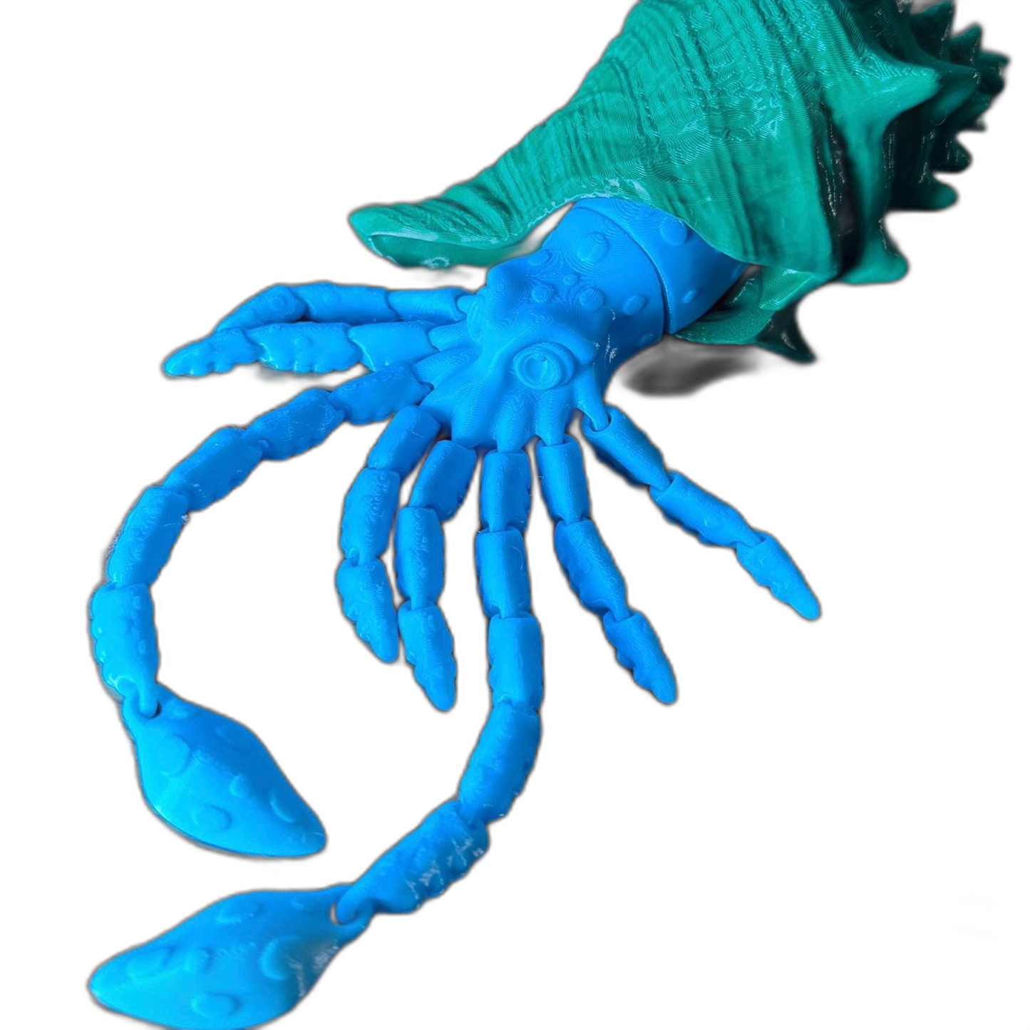 Wavy the Articulated 3D Squid with Shell