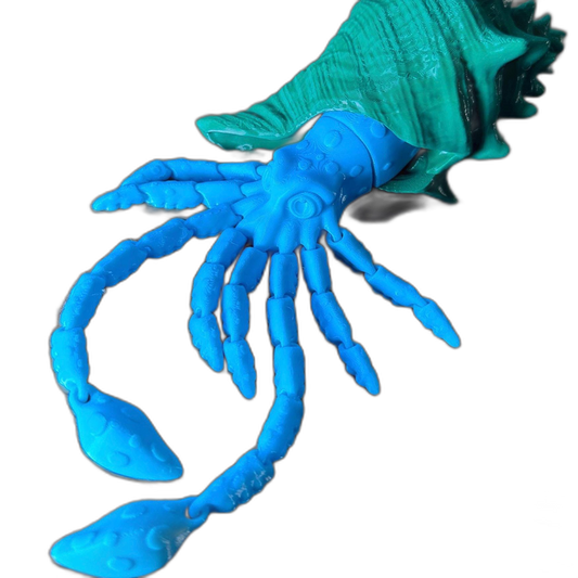 Wavy the Articulated 3D Squid with Shell